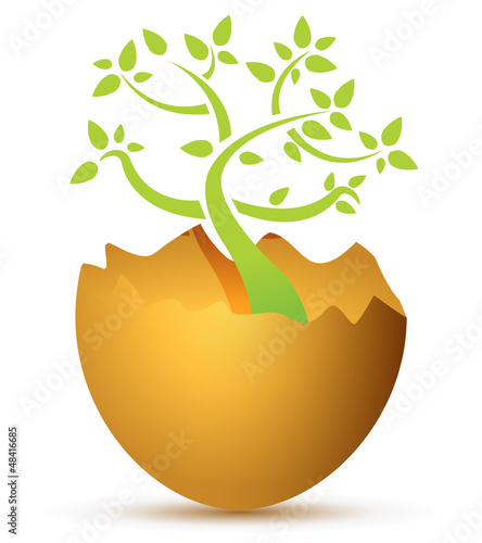 Illustration: Broken egg with plant Broken egg with plant