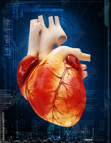 Illustration: heart heart
