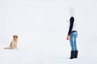 Photo: Girl in winter suit on a walk with her labrador. Girl in winter Girl in winter suit on a walk with her labrador. Girl in winter