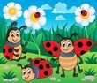 Vector: Image with ladybug theme 2 Image with ladybug theme 2