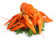 Group of red lobsters with garnish isolated on white