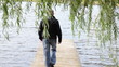 man walk wood lake bridge pier willow tree swan bird meet angry