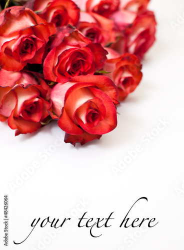 Photo: Red roses Red roses