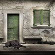 boxer solo sulla porta