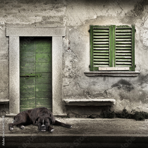 Photo: boxer solo sulla porta boxer solo sulla porta