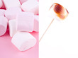 toasted marhmallows