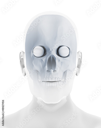 Illustration: schädel 3d schädel 3d