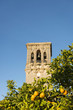 Photo: Spanish oranges and Bell Tower Spanish oranges and Bell Tower
