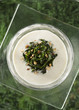 Velouté de côtes de blettes
