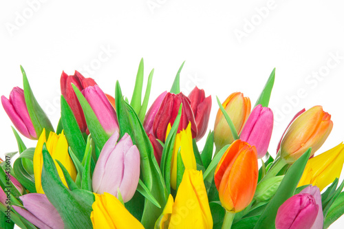 Photo: Tulips background Tulips background
