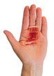 Serrano ham slice and hand