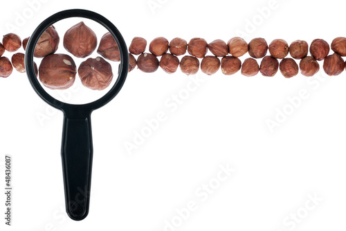 Photo: Peeled hazelnut with a magnifying glass Peeled hazelnut with a magnifying glass