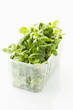 Feldsalat