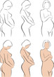 Stylized silhouettes of pregnant women