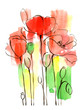 Watercolor  poppies