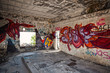 Grunge Abandoned House Interior