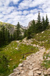 Hiking Trail Through Mountains