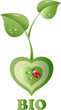 biocuore (seconda versione)