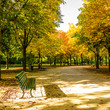 park im herbst