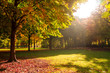 park herbststimmung