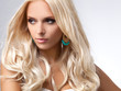 Blonde Hair. High quality image.