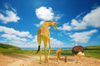 Photo: Animals migrating to green lands Animals migrating to green lands