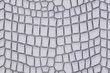 Artificial  leather