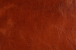 Background with texture of leather