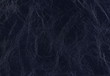Background with texture of leather