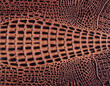 Texture of a crocodile leather