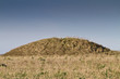 Neolithic burial mound Cranborne Chase,Dorset, UK