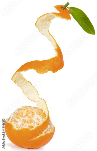 Photo: mandarin mandarin