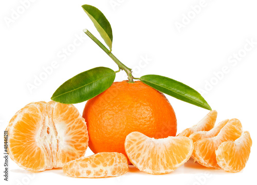 Photo: tangerine tangerine