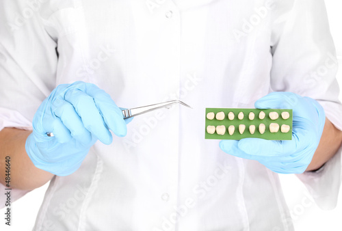 Photo: Dentists hands with denture and dental tweezers Dentists hands with denture and dental tweezers