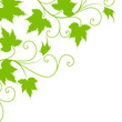 blatt, deko, wein, weinblatt, ranke, textur, vektor, vorlage 