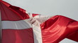 Danish flag in the wind