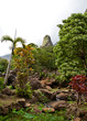 View of Maui's 'Iao Needle