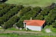 Fattoria