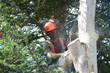 Man concentrating as wood chips fly
