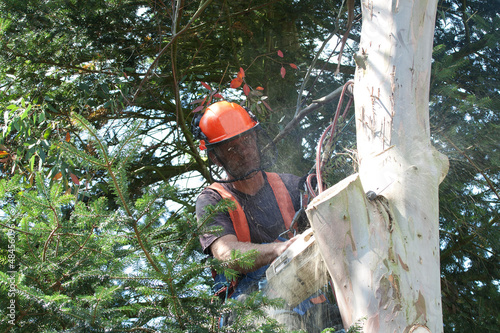 Photo: Man concentrating as wood chips fly Man concentrating as wood chips fly