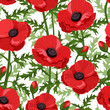 Seamless background with red poppies. Vector illustration.