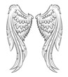 wings
