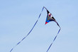 Kite in the sky