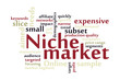 Niche market word cloud