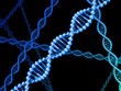 DNA-Moleküle