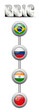 BRIC Countries Buttons
