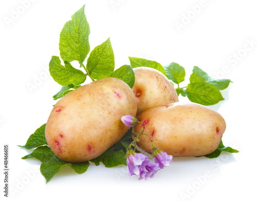 Photo: Heap of ripe potatoes vegetable with green leaves isolated Heap of ripe potatoes vegetable with green leaves isolated