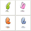 Elegant pastel colored butterfly. Vector collection