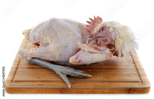 Photo: Bresse chicken Bresse chicken
