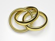 Polygamy